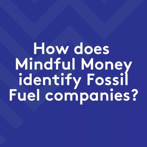 Fossil Fuel Companies Methodology