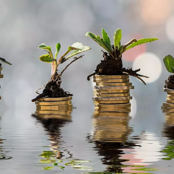 Continuous Disclosure: How green finance actually works