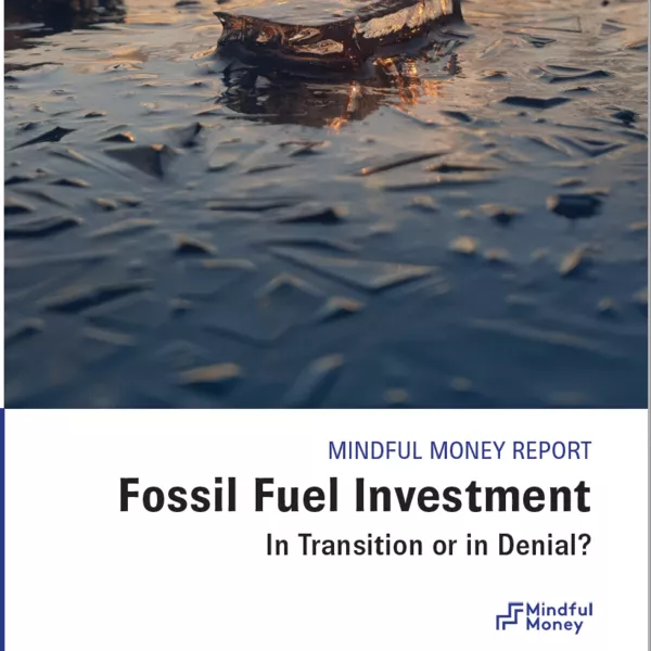 Fossil Fuel Investment in Transition or in Denial?